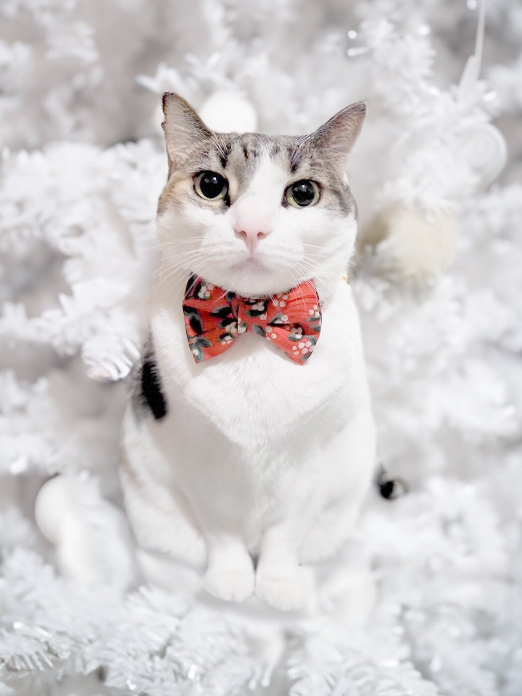 Cat christmas tie best sale